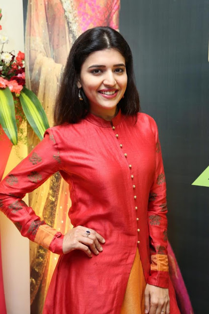Actress Chitra Shukla Beautiful Photo Shoot In Red Dress 9